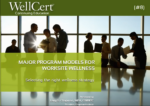 Wellness Program Strategy Overview